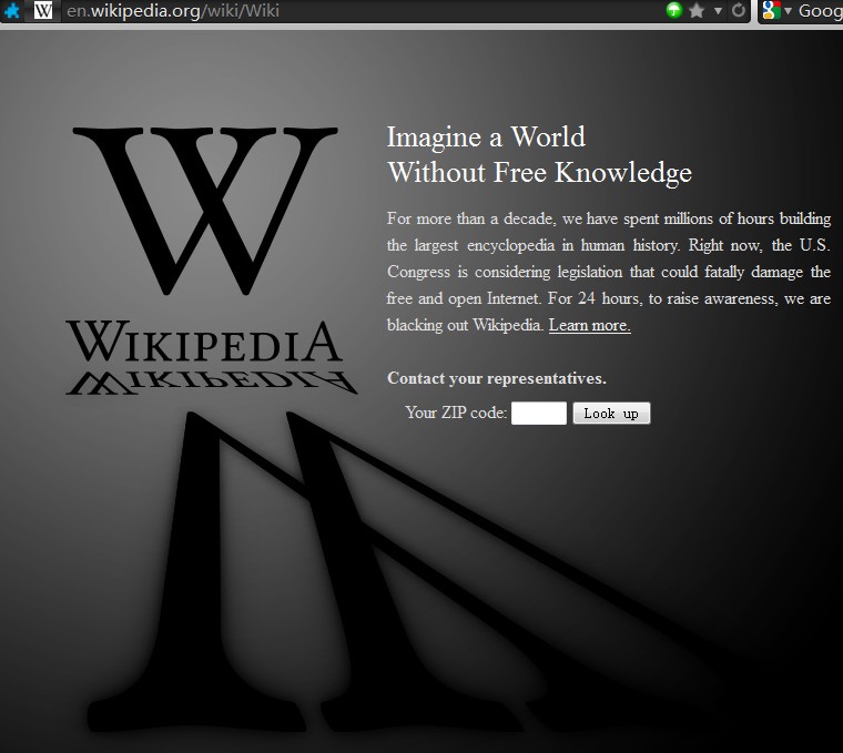维基百科的抗议